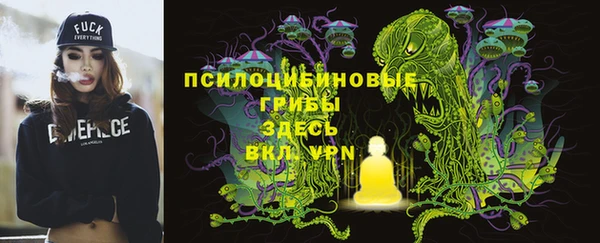 a pvp Алзамай